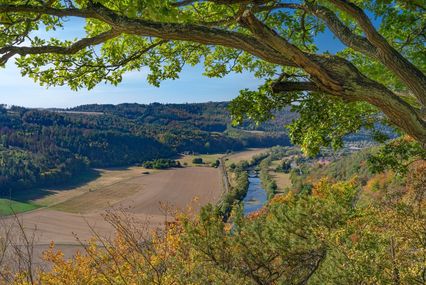 Genießen Sie die schöne Umgebung!