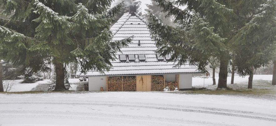 Ferienpark Frankenau wintersport Sauerland 05