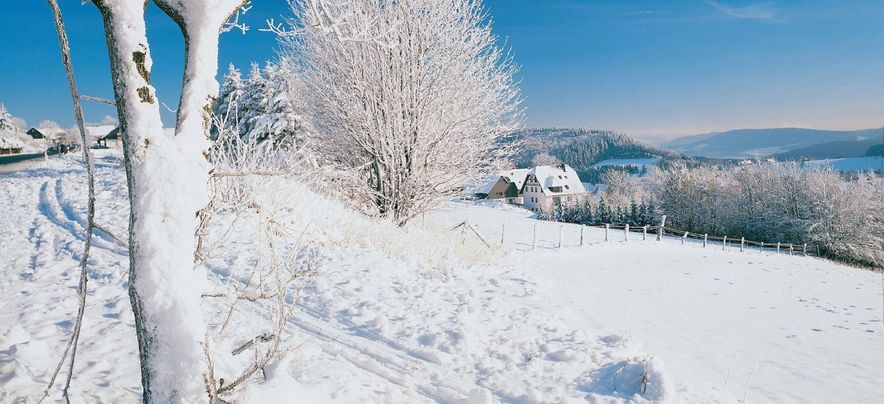 Ferienpark Frankenau wintersport Sauerland 07